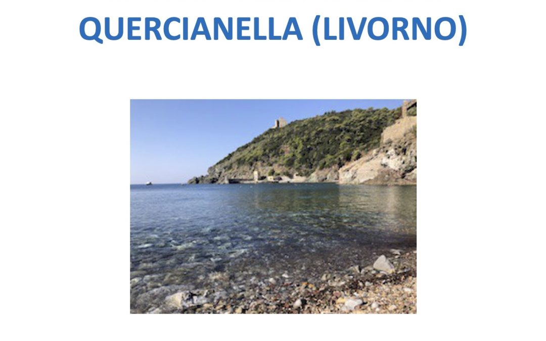 4 – 5 – 6  settembre 2026  – Quercianella